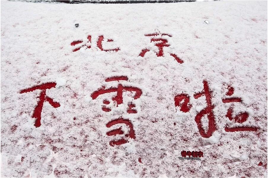 北京第一場(chǎng)雪景圖